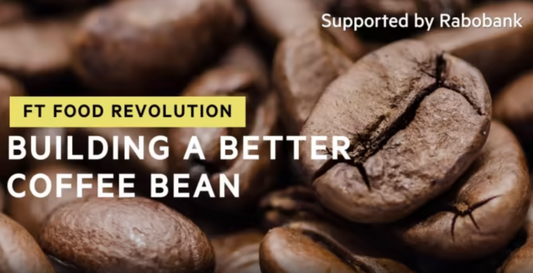 Podem os cientistas desenvolver um grão de café mais resistente às alterações climáticas