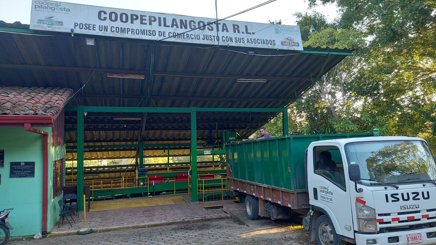 Costa Rica Guanacaste Speciality Coffee - Washed