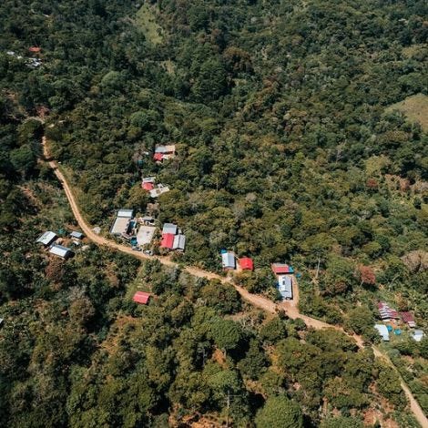 Café de Especialidade do MEXICO (Chiapas) - Lavado