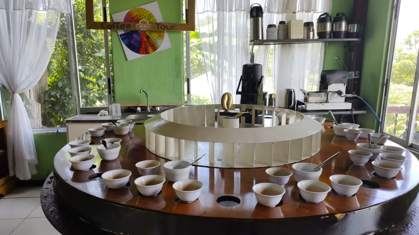 Costa Rica Guanacaste Speciality Coffee - Washed
