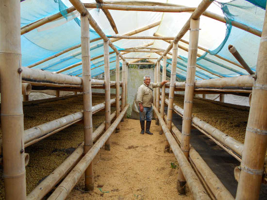 Café de Especialidade da Colombia (Cauca) - Natural