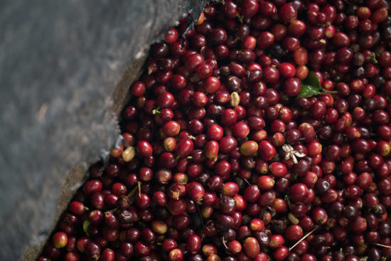 Café de Especialidade da COLOMBIA (Microlot) Huila - Lavado