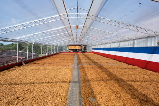 Specialty Coffee from Costa Rica - Central Valley - Red Honey