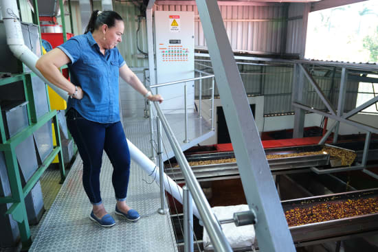 Specialty Coffee from Costa Rica - Central Valley - Red Honey