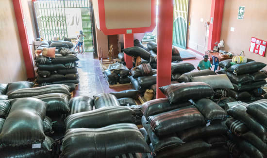 PERU Specialty Coffee - Organic - Washed