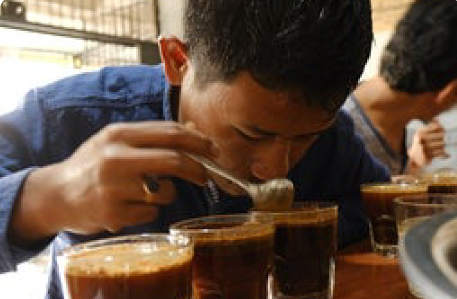Café de Especialidade  da INDONESIA (Sumatra) - Natural
