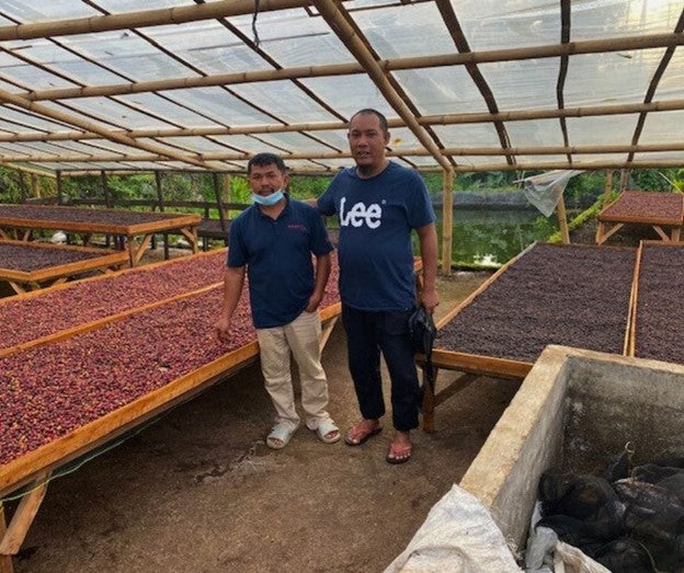 Café de Especialidade  da INDONESIA (West Sumatra)- Honey