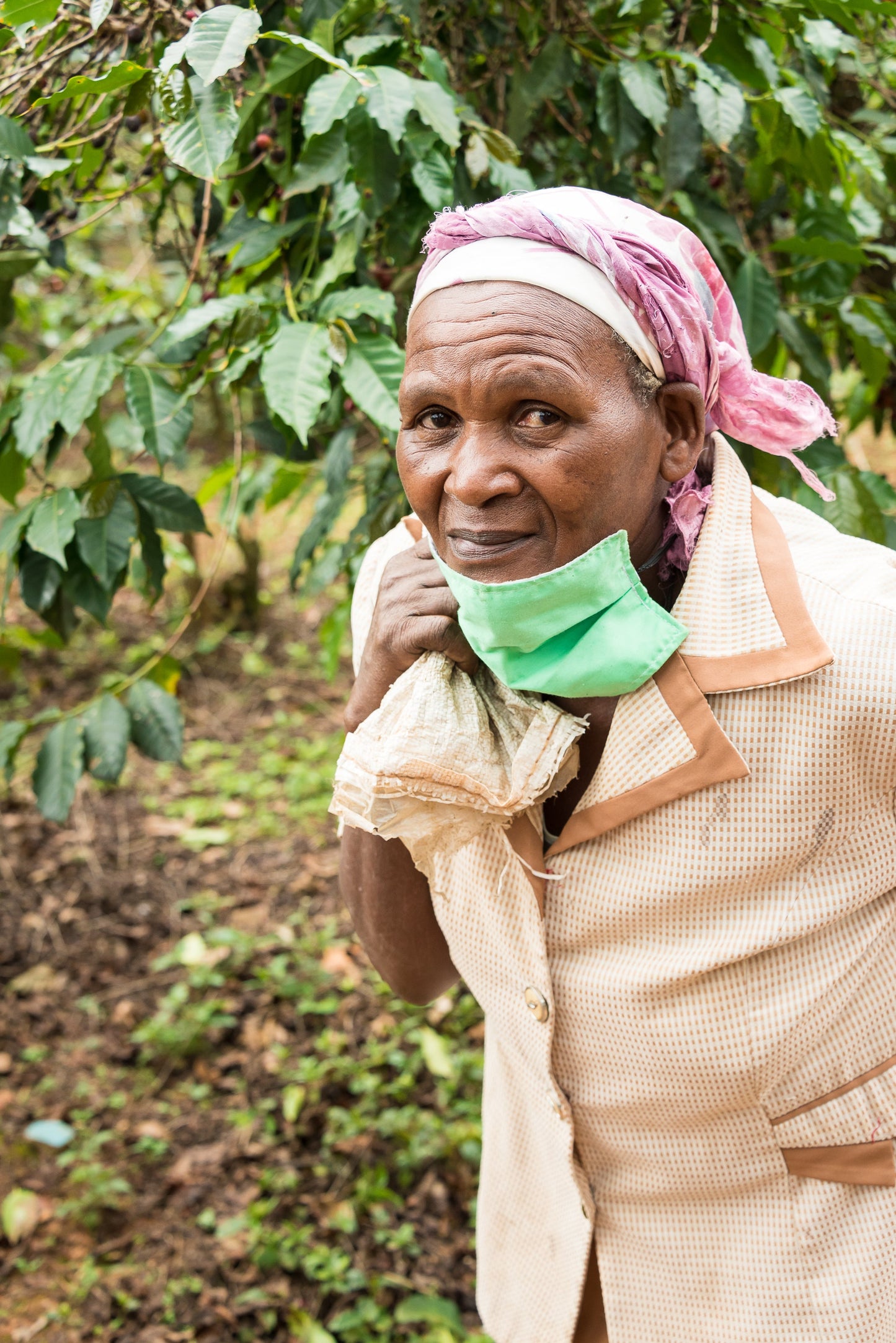 Café de Especialidade do KENYA - Gatina Nyeri - Lavado