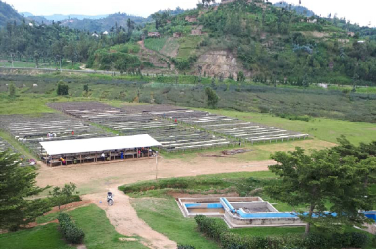 Café de Especialidade do RUANDA (Kirambo) - Natural